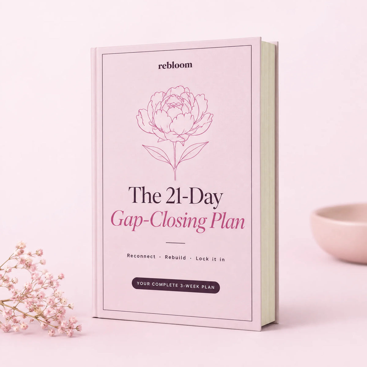 E-Book: The 21-Day Belly Gap-Closing Plan